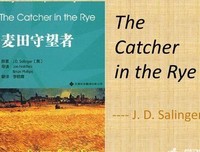 《麦田里的守望者》读后感100字