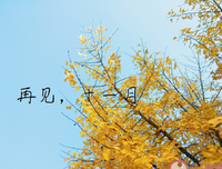 关于您好的唯美语录