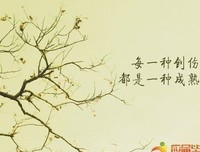 心灵鸡汤经典的句子