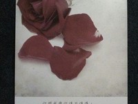 关于我爱你，太美好，时间每也天好去知道的优美句子