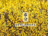 关于路過心房的优美句子
