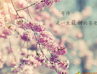 小说摘录的优美句子