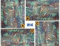 测一测你潜意识最重视的是什么
