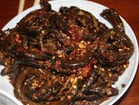 《酒是故乡醇》经典观后感有感