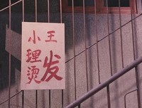有关慢慢迷途的句子