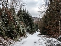雪和像素时代