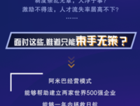 《阿米巴经营：中国实施指南》读后感摘抄