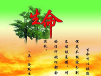 有关起承转合的美句摘抄