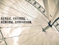 关于郁郁葱葱的唯美语录
