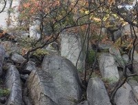 眉间浅笑流年，月下沽酒春风
