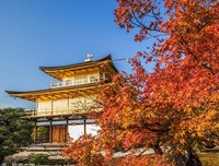 金阁寺读后感摘抄