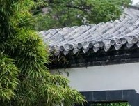 人活到极致，是素心