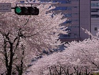 你喜欢的他气开地子我于到变自有的句子