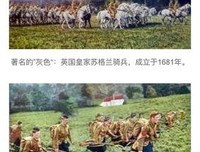 《68威士忌》影评100字