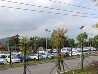 死在最幸福的日子里