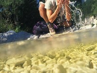 自我苏醒