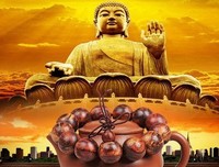 学佛答疑 | 困惑中找出路，迷茫中见光明
