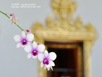 关于心领神会的座右铭