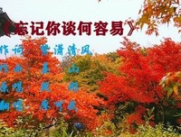 关于谈何容易名言名句
