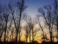 深情抑郁，返古句子大全