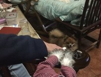 你要一直好好的
