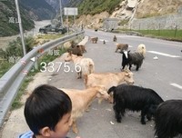 一路向西，超速向前
