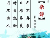 有关杂。的句子