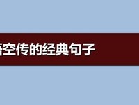 悟空传经典的句子