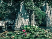 “家有四样，不富也旺”，是哪四样？你家有几样？