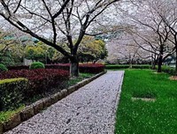 “仁义”窦建德为何兵败如山倒