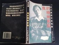 王小波作品集（小说卷）读后感精选