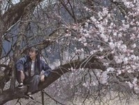 你们的样子，我们的向往