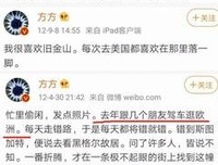 “方方日记”就是一只臭袜子
