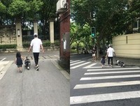 一段感情，丈夫出轨以后，是否真的还能浪子回头主要看