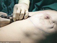 《寻找乳房》的观后感大全