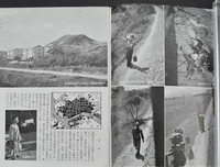 《日本建筑解剖书》读后感100字