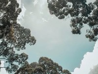 生活已经很累，别让心更累