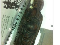关于神采飞扬的格言