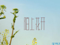 陌上花开经典的句子