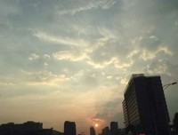  “方方日记”是啄木鸟精神还是乌鸦定义？