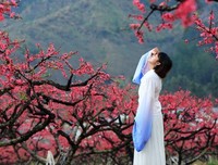 三生三世——妯娌缘