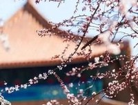 乱，能了可章经典名句