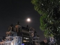 欲买桂花同载酒，终不似少年游