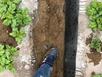 深深爱着你，你是我一生的思念