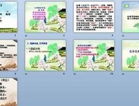 独步寻花句子大全