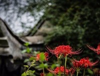 人啊，请不要.........(深度好文）
