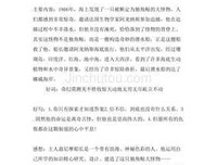 那些年，我的执念好词好句