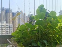 弥补这份爱