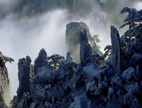 情感收藏经典名句