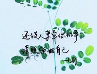 情的优美句子